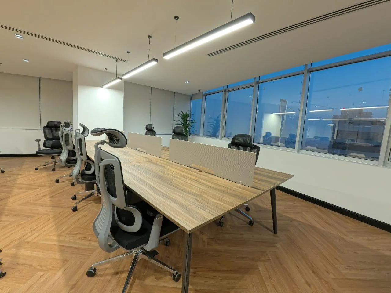 Interior Fitout of AD Tyres office
