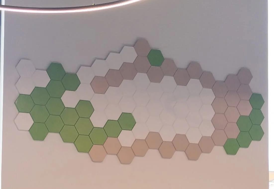 Dream Catcher Office Fit Out​