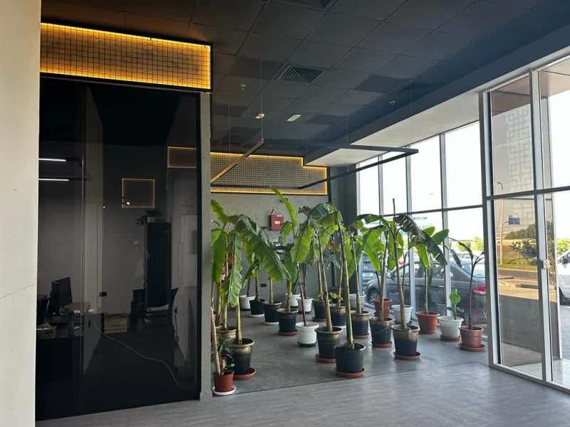 FLAIR — photo 6