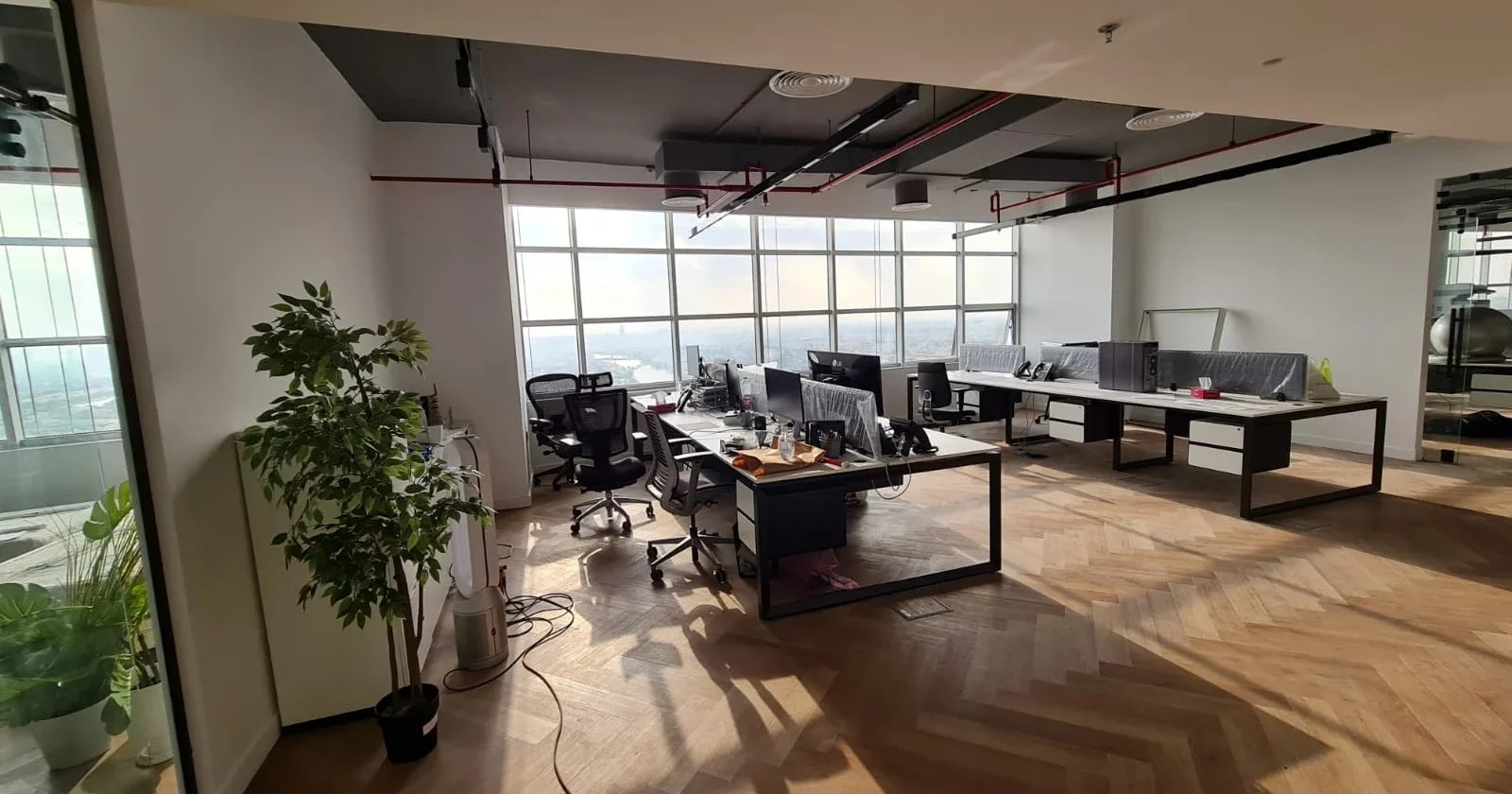 Nulty Studio